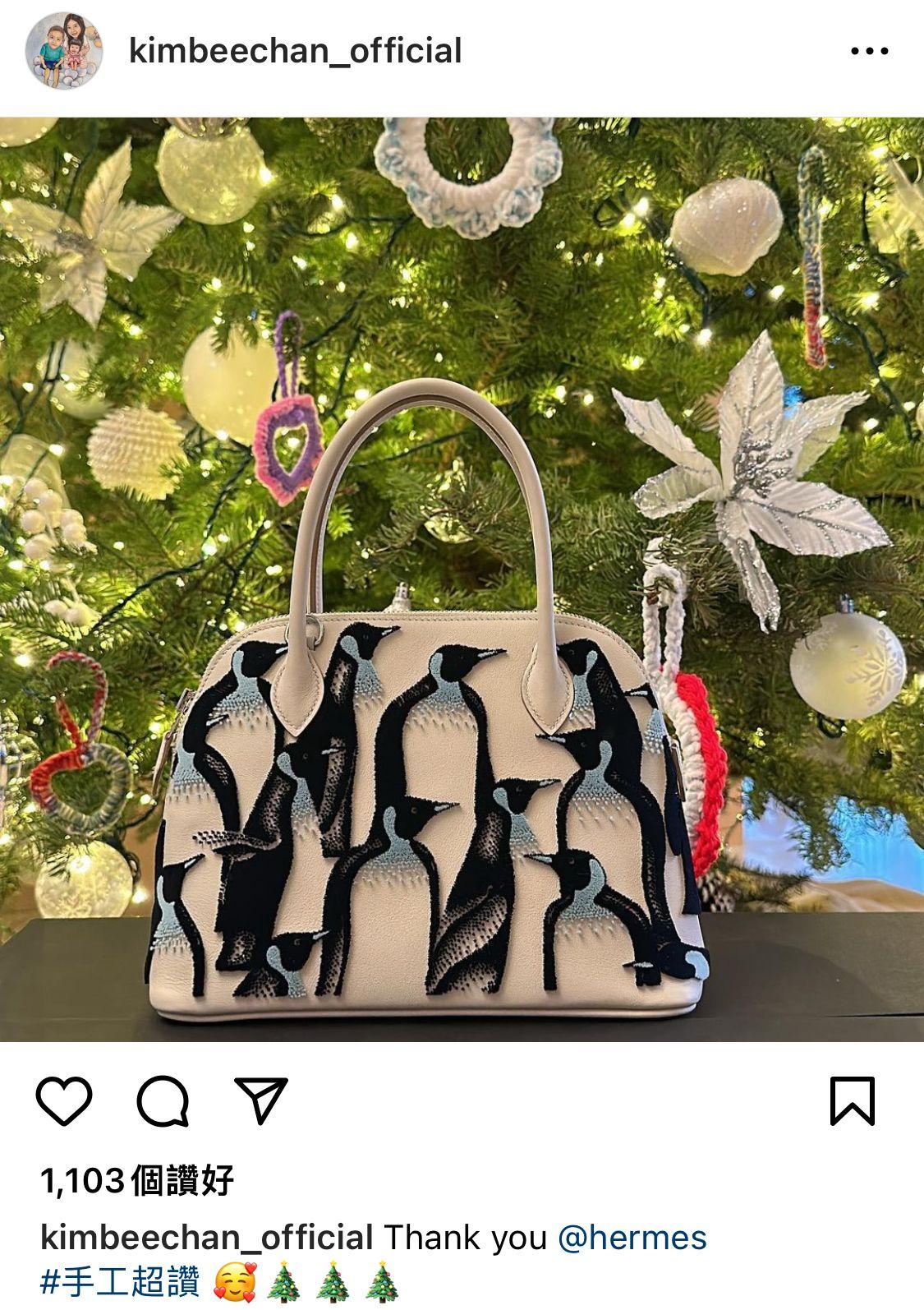 甘比亦是愛馬仕粉絲。(陳凱韻IG)