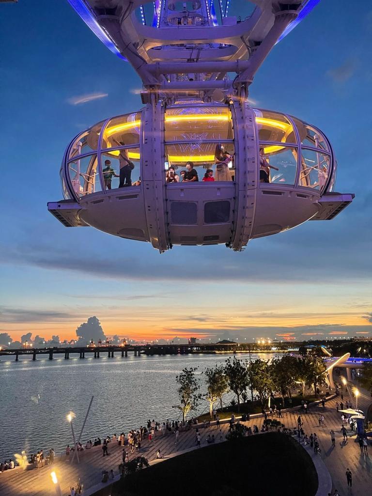 採用了世界首創的魚鰭狀異形大立架。(圖片來源: 小紅書)