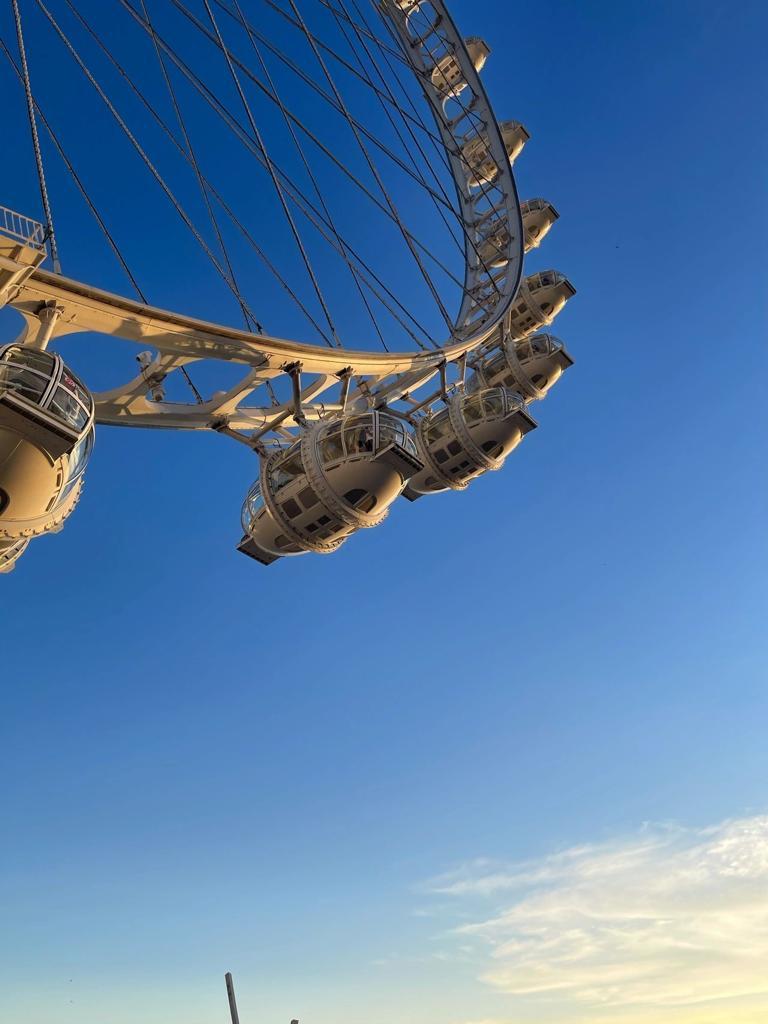 共有28個車廂,一次可承載25位乘客。(圖片來源: 小紅書)