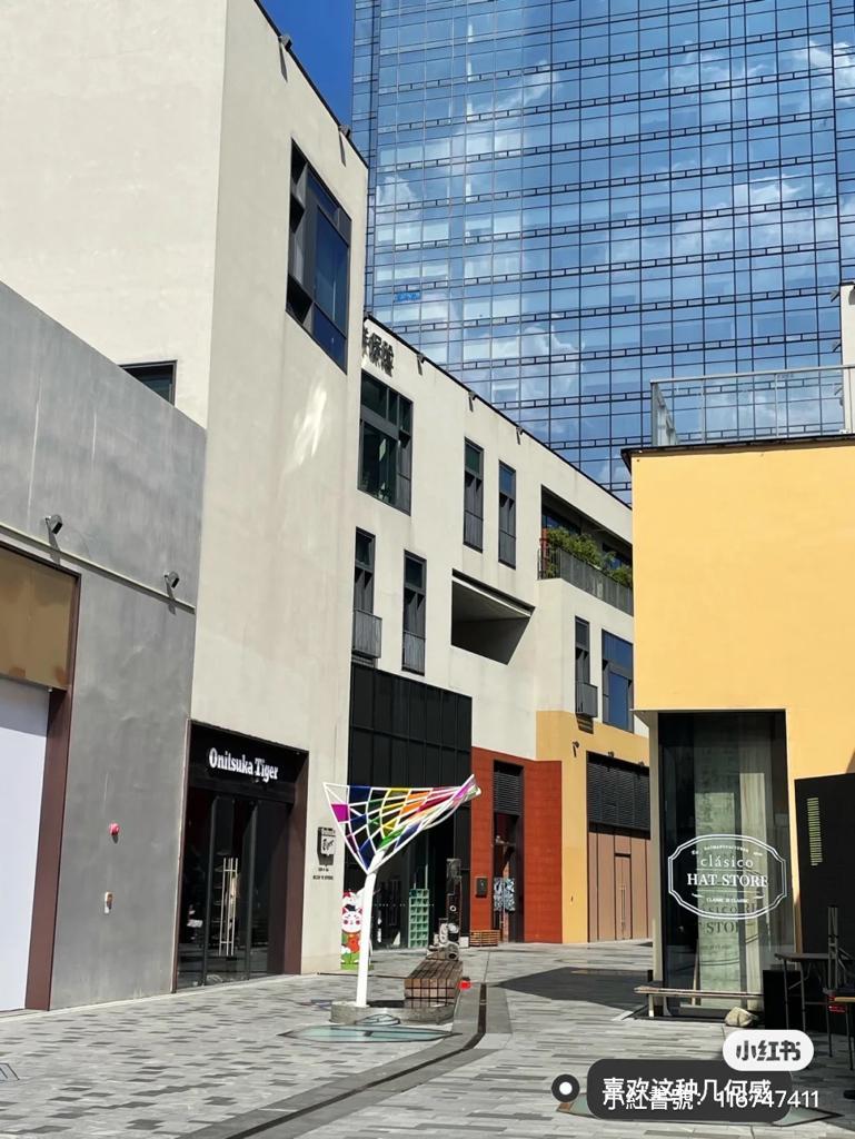 共有300多間店舖進駐。(圖片來源: 小紅書)