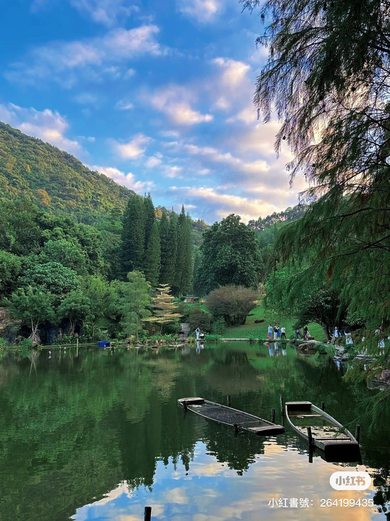 仙湖植物園為國家AAAA級風景區。(圖片來源: 微博)