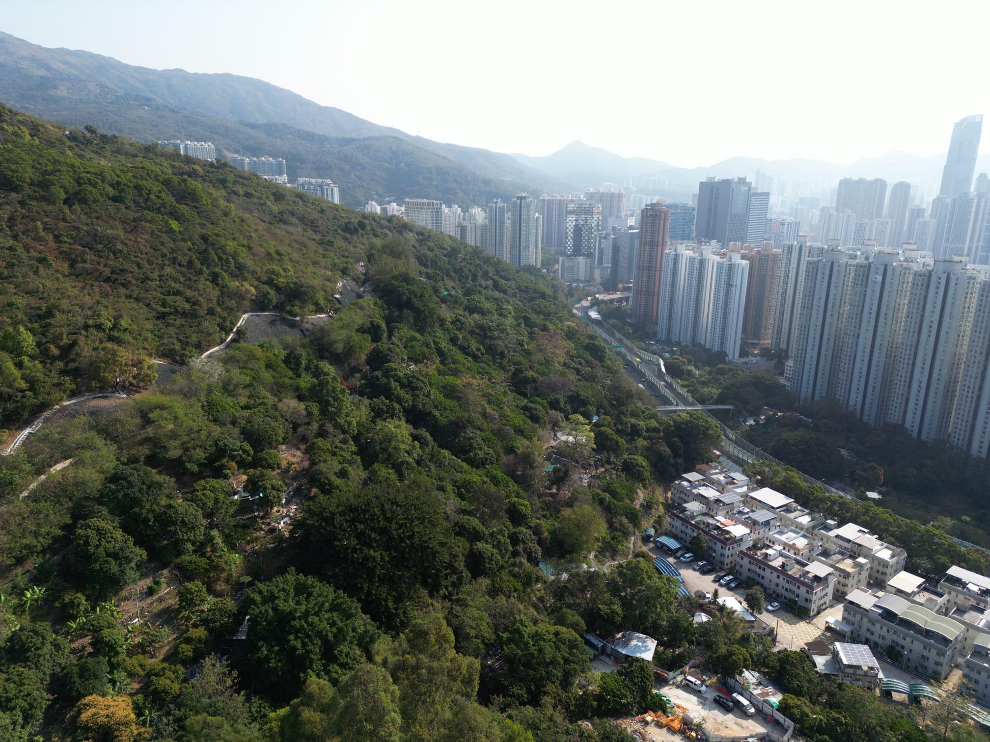 新財年潛在供應近9,120萬伙單位。