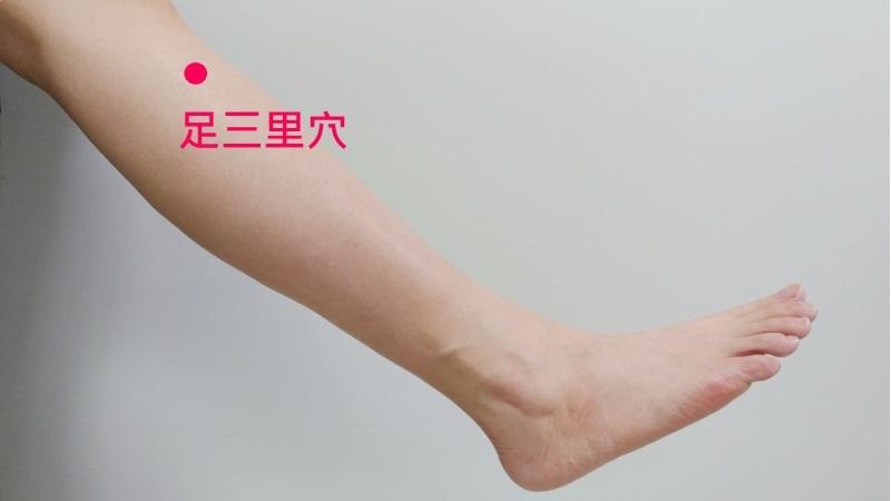 足三里穴