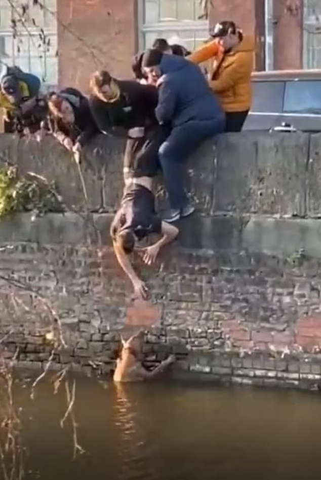 青年倒吊落河救狗。(互聯網)