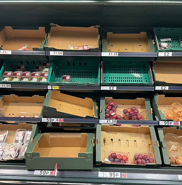 報道指英國多間超市蔬果持續短缺,貨架經常清空。(互聯網)