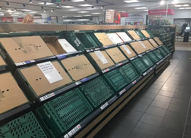 報道指英國多間超市蔬果持續短缺,貨架經常清空。(互聯網)