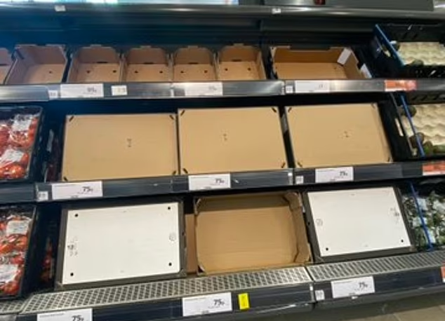 報道指英國多間超市蔬果持續短缺,貨架經常清空。(互聯網)