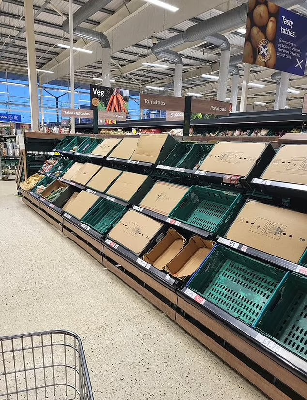 報道指英國多間超市蔬果持續短缺,貨架經常清空。(互聯網)