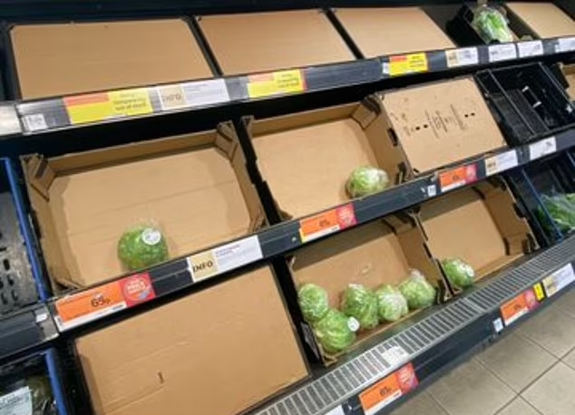 報道指英國多間超市蔬果持續短缺,貨架經常清空。(互聯網)