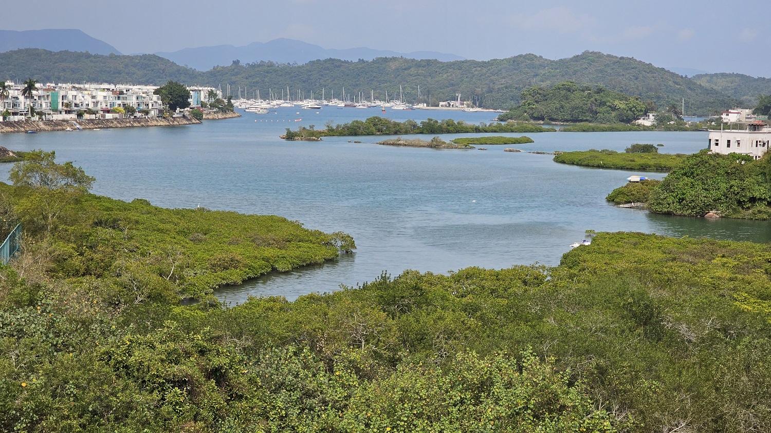 室外景觀開揚,海灣美景盡入眼廉。