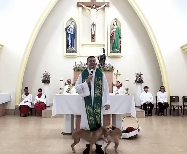 流浪狗在神父腳下轉來轉去。(互聯網)