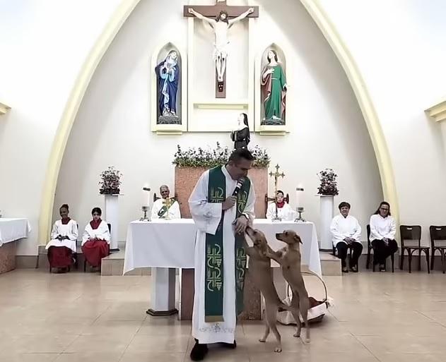 流浪狗對神父相當熱情。(互聯網)