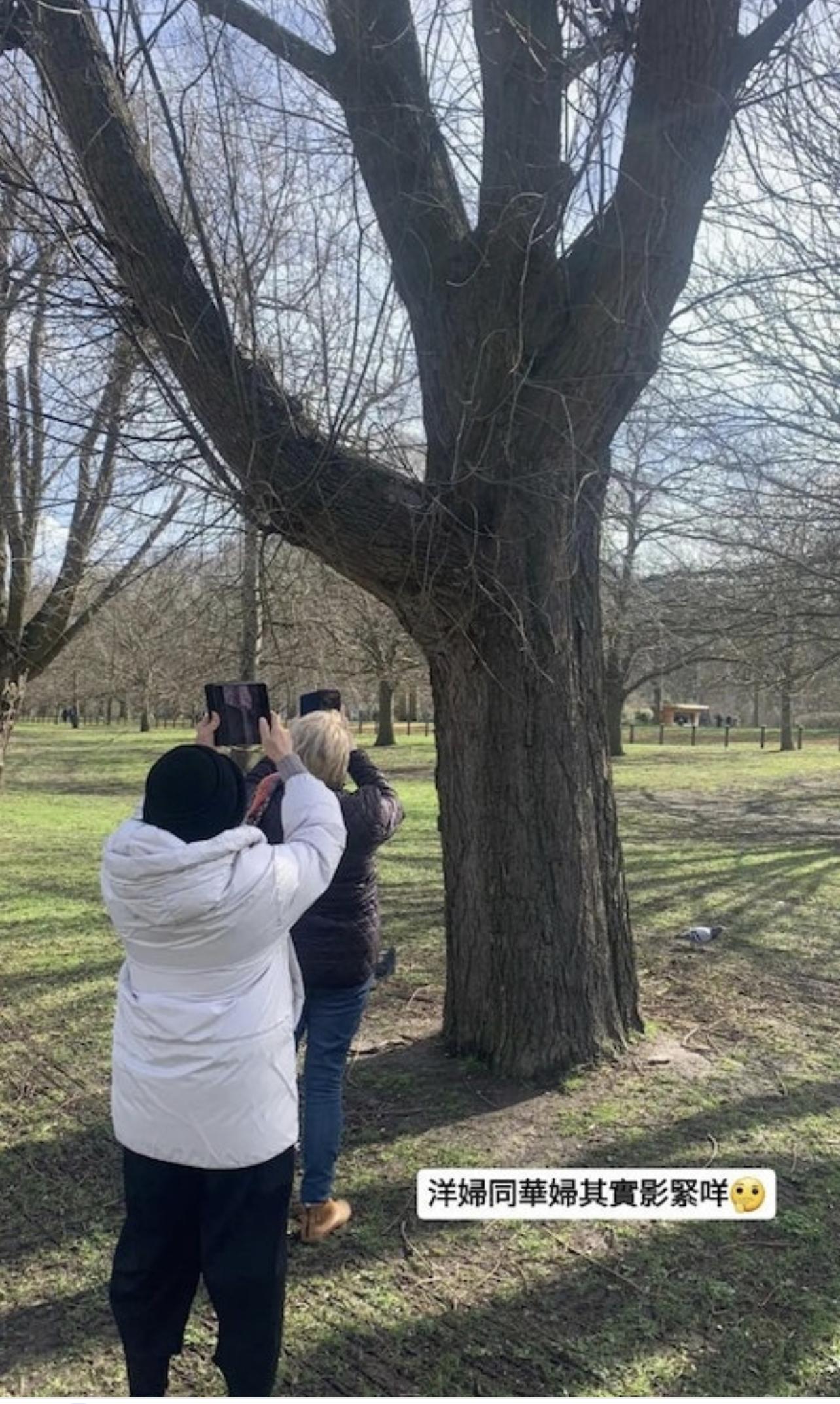 張敬軒偷拍母親影相的日常。