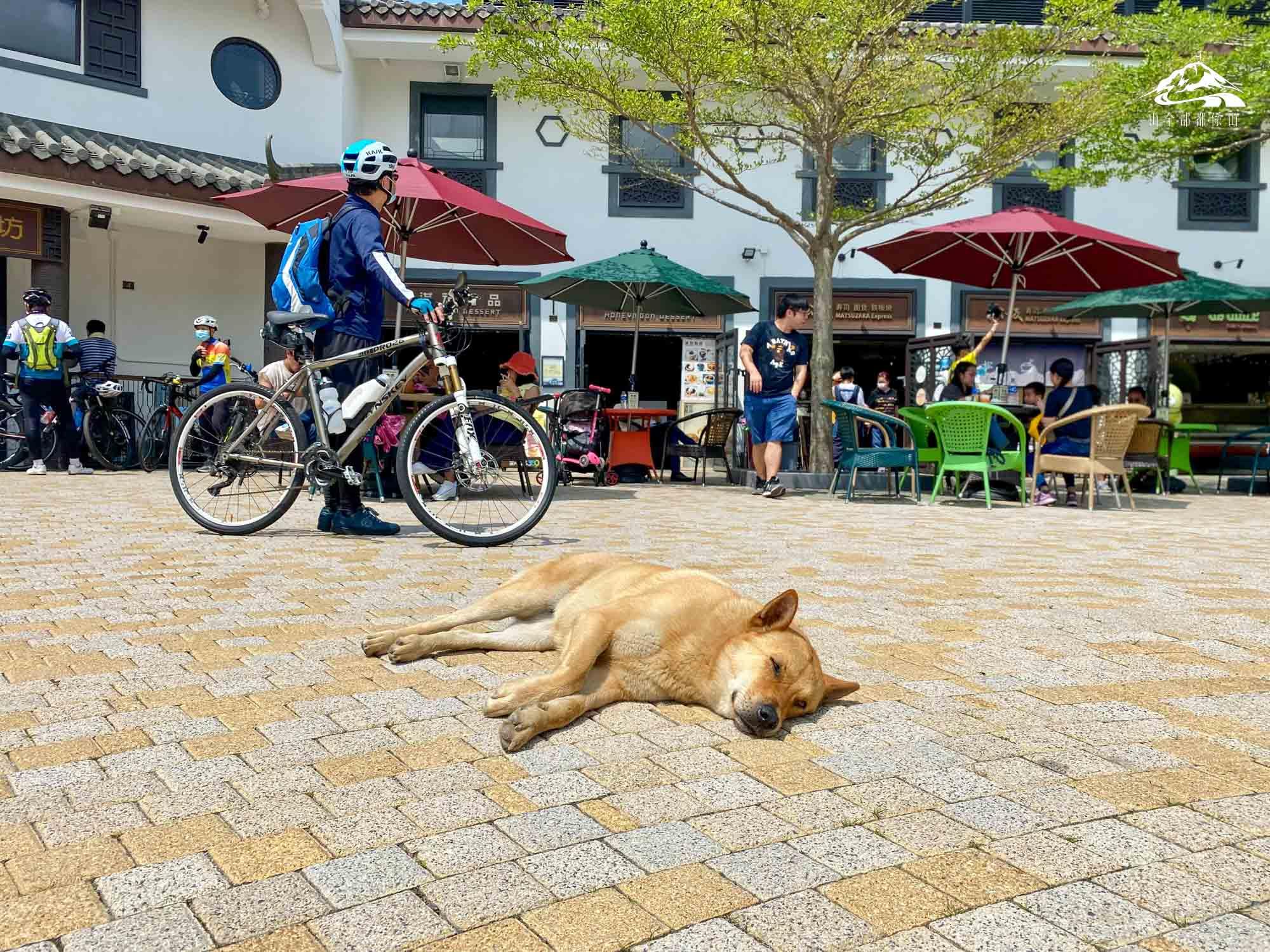 2昂坪市集食肆為遊客價