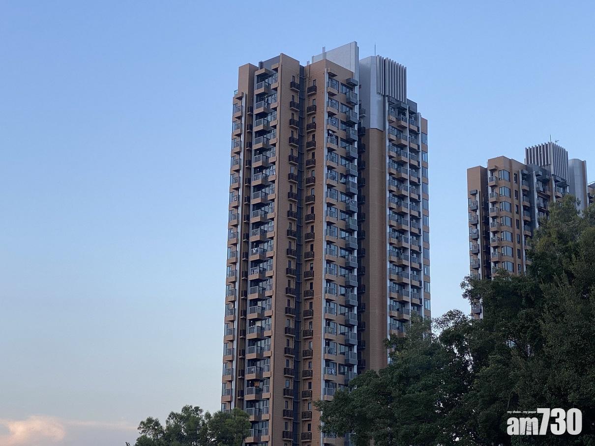 元朗映御交通方便,日常生活配套亦齊備,加上樓齡算新,亦是新鴻基屋苑,屬區內熱門上車之選。(資料圖片)