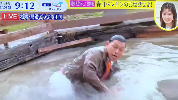 搞笑藝人假裝墮入企鵝池遭批評。(影片截圖)