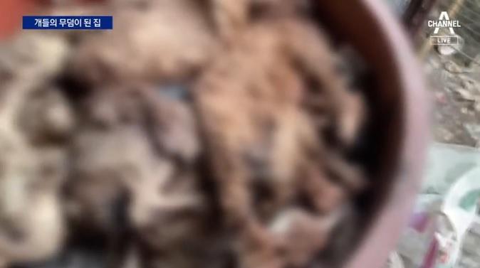 大膠桶裝滿狗屍。(互聯網)