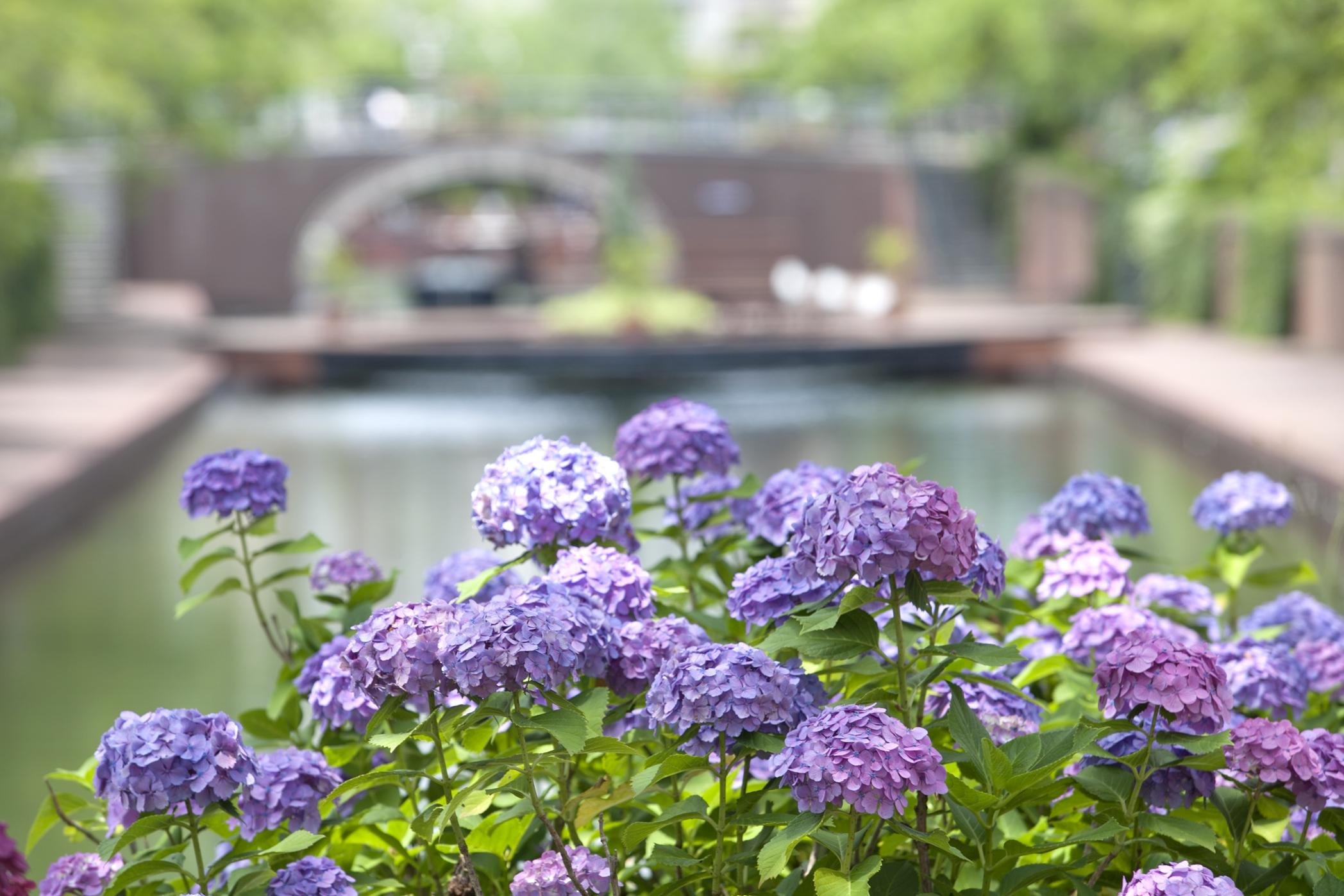 照片來源 : 豪斯登堡