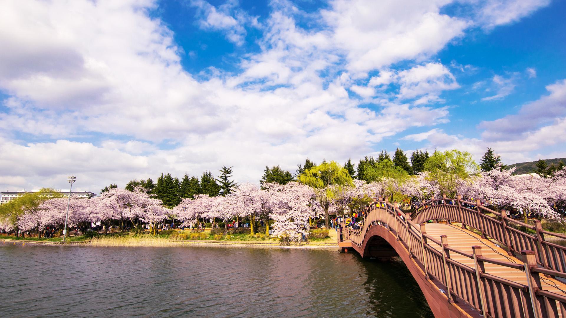 遊覽普門觀光園區