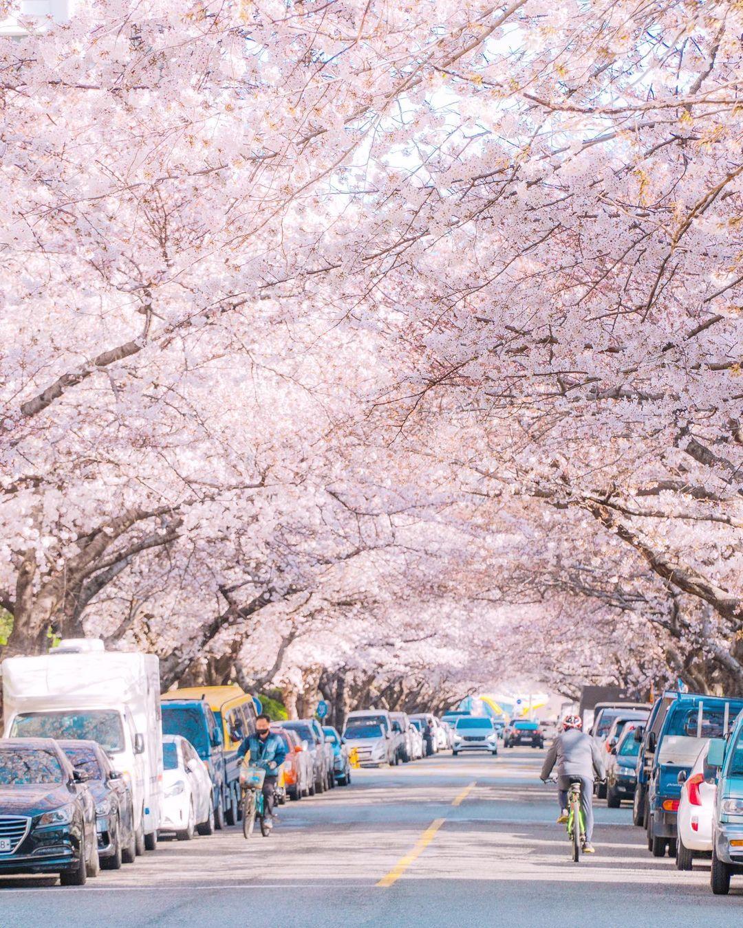 釜山廣安里三益公寓