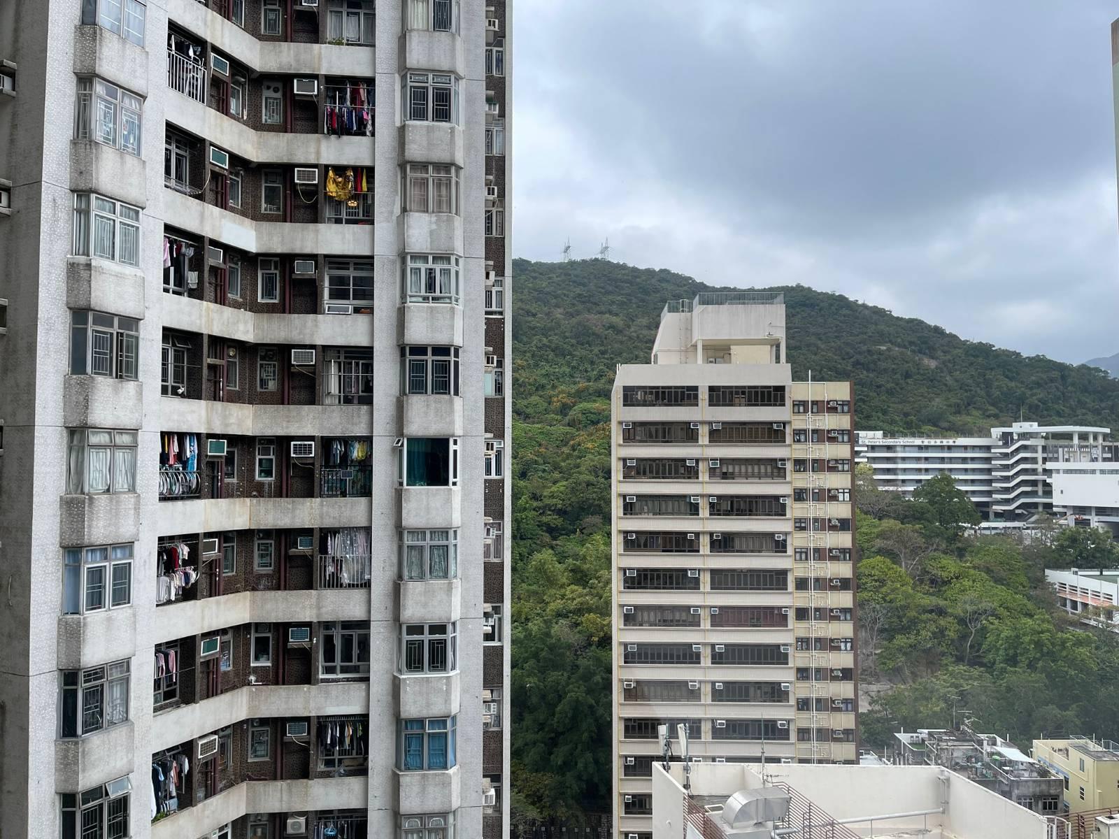 單位以樓景和山景為主,景致頗開揚。