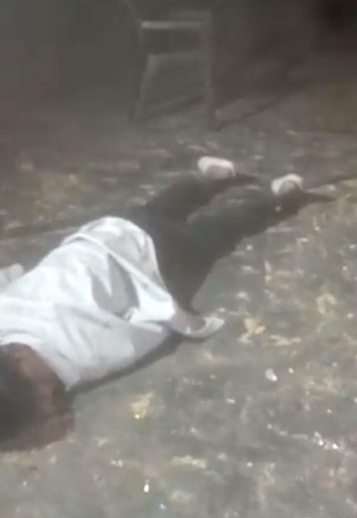 Mutyam突然垂頭停下動作,接著面朝下直仆地上,失去意識。(Twitter)