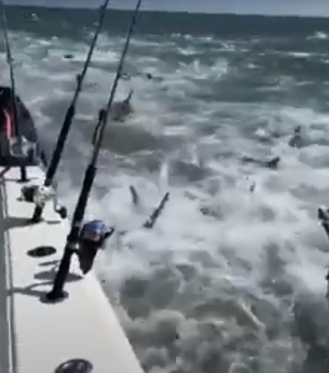 鯊魚似在爭相搶食,更激烈得撞到艇身,將海水都濺到船上。(YouTube)