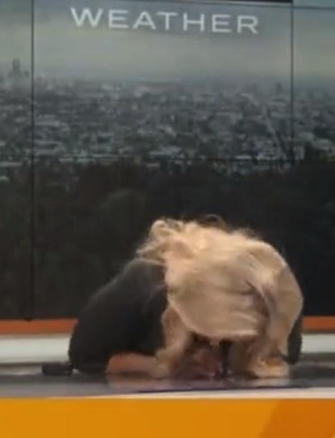 Alissa Carlson Schwartz身體向前傾斜,失重心向前仆倒,最後直接由椅子摔下。(Twitter)