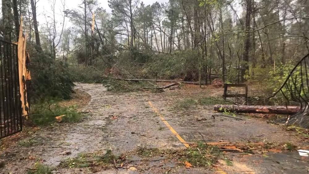 動物園園區遭受嚴重破壞,一片狼藉,大量樹木被吹倒,欄柵扭曲或倒下。(FB)