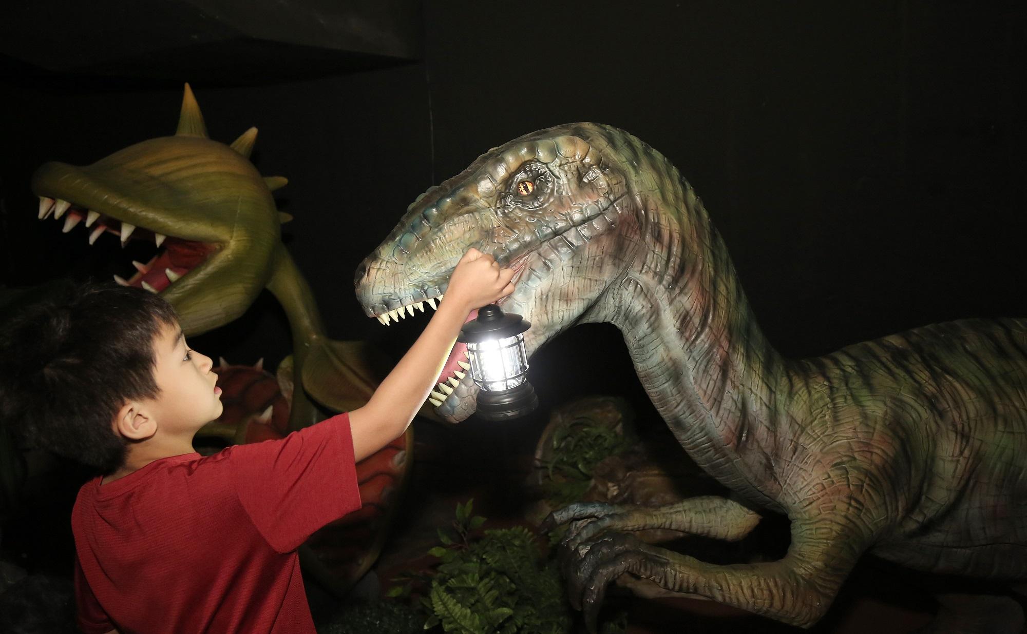 小朋友手持吊燈在幽暗的森林中探險。