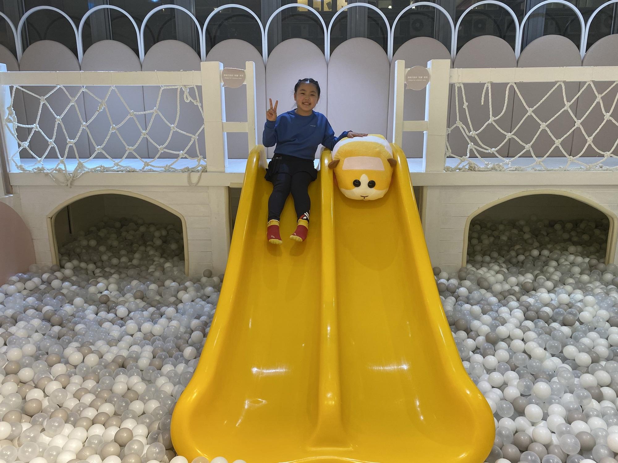 天竺鼠車車遍佈大樹先生的家不同區域。