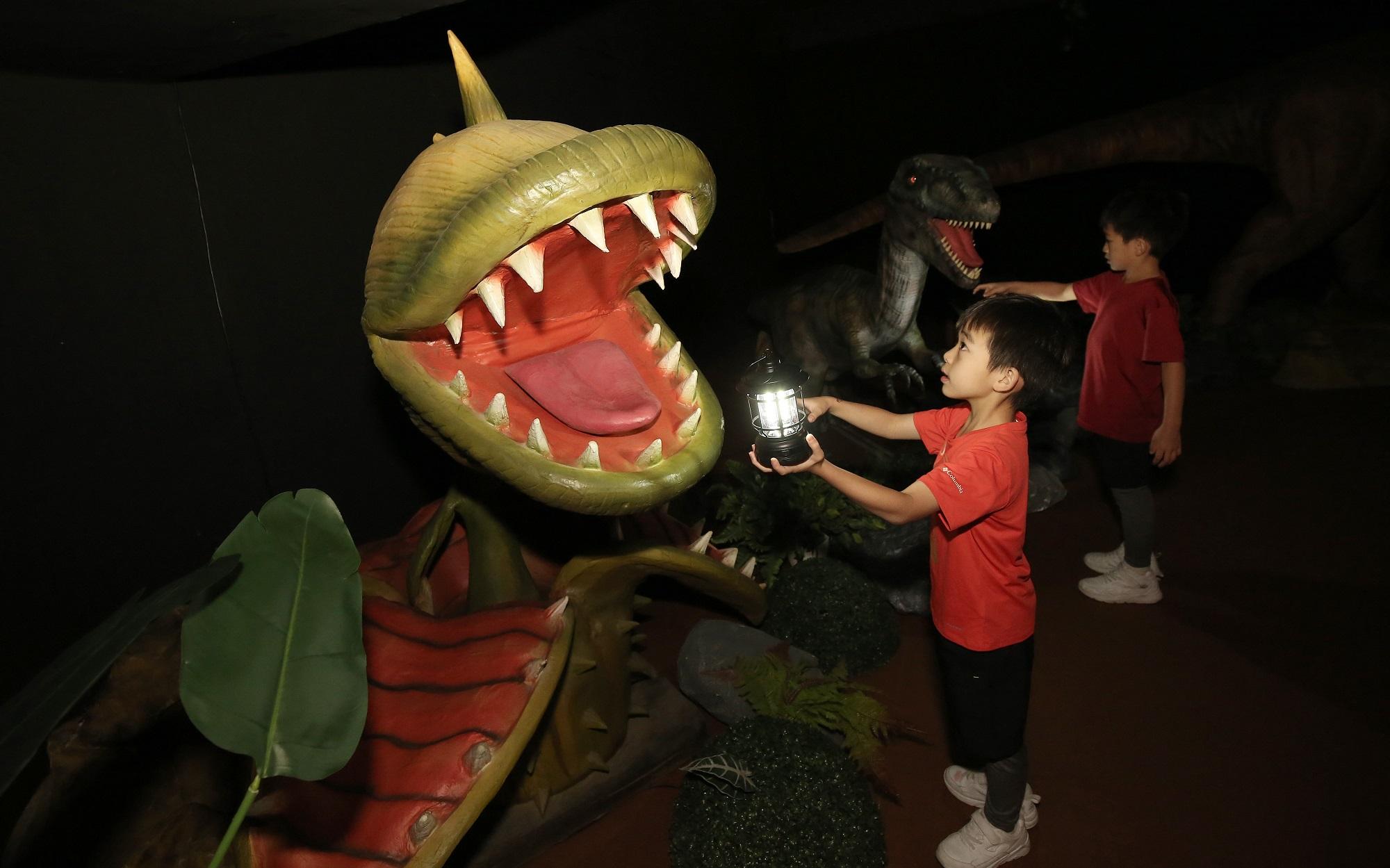 小朋友手持吊燈在幽暗的森林中探險。