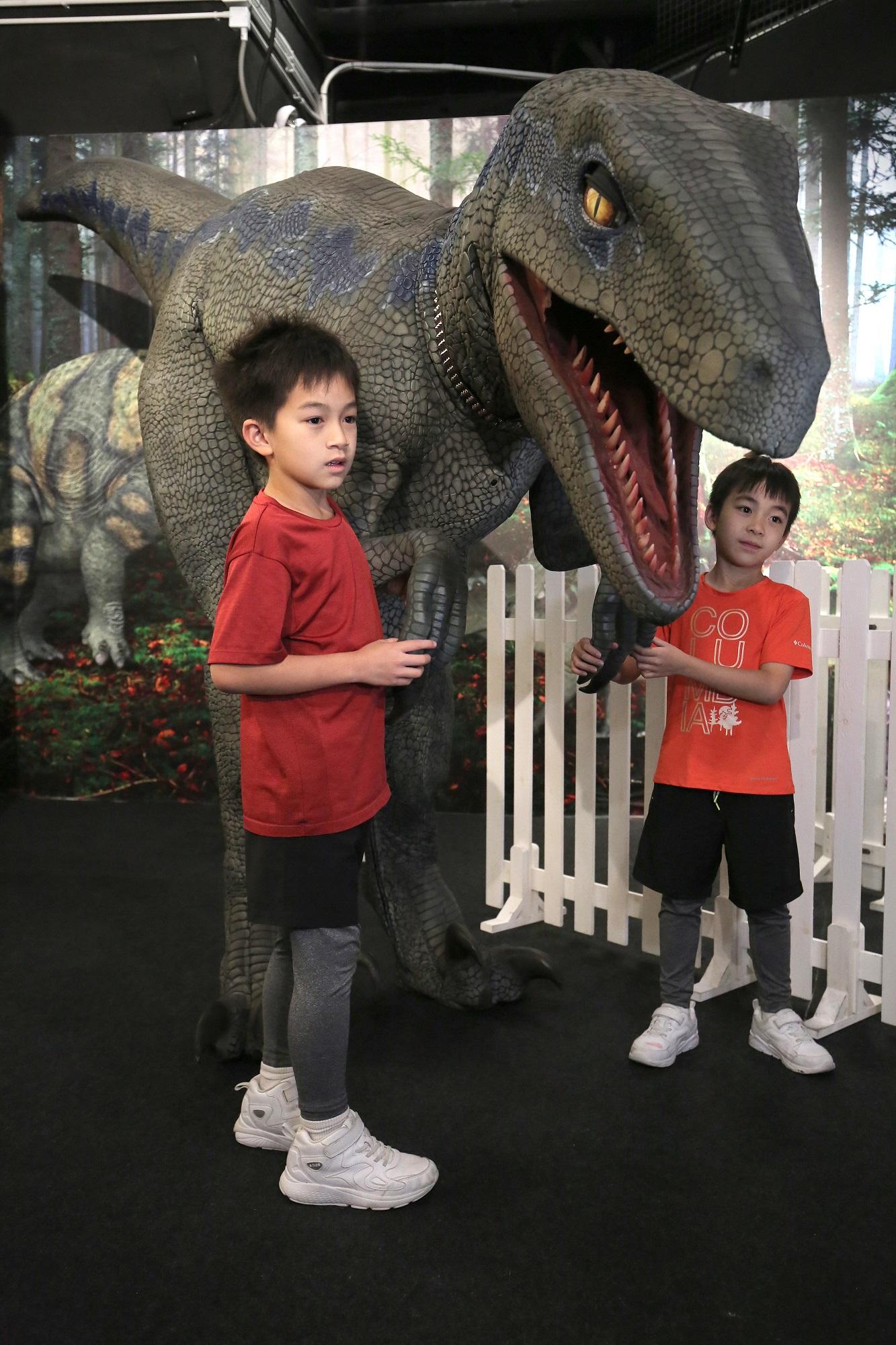 小朋友可以與曾經接受訓練的恐龍互動及拍照留念。