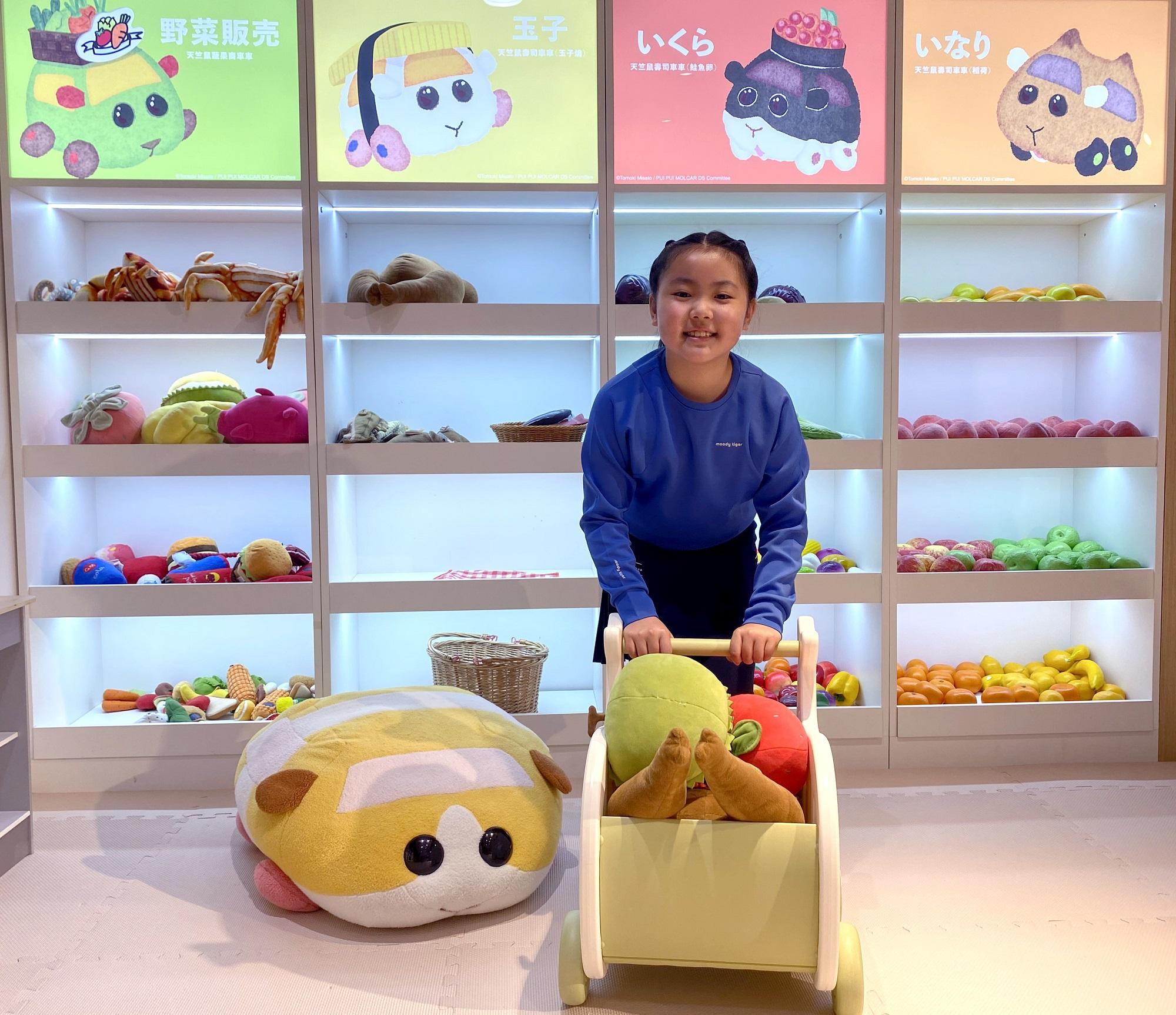 天竺鼠車車遍佈大樹先生的家不同區域。