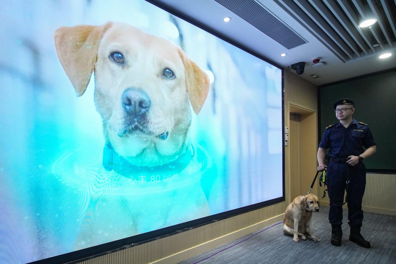 海關今日舉行記者會,總結去年工作。(李睿哲攝)