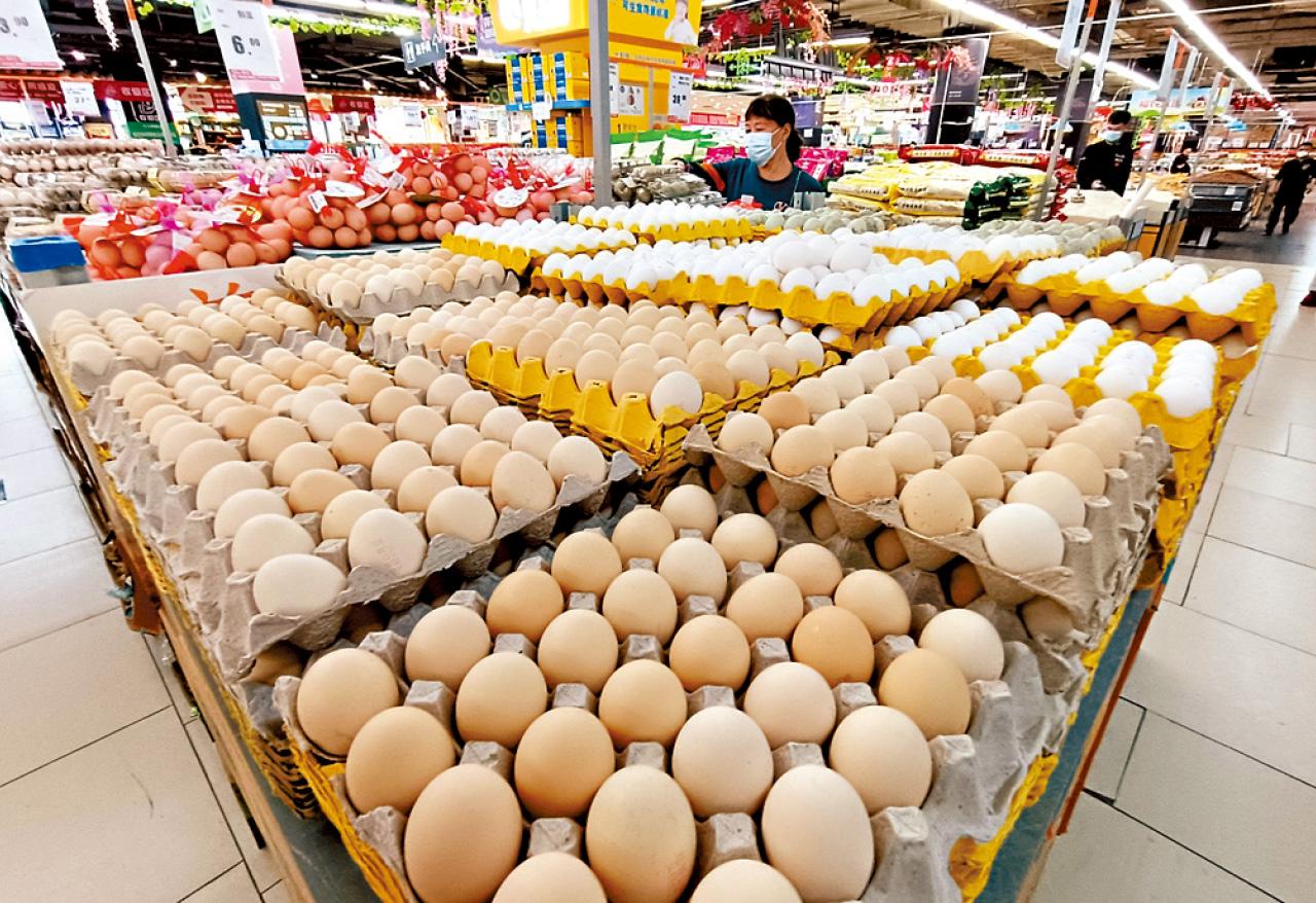 蛋類 消費物價