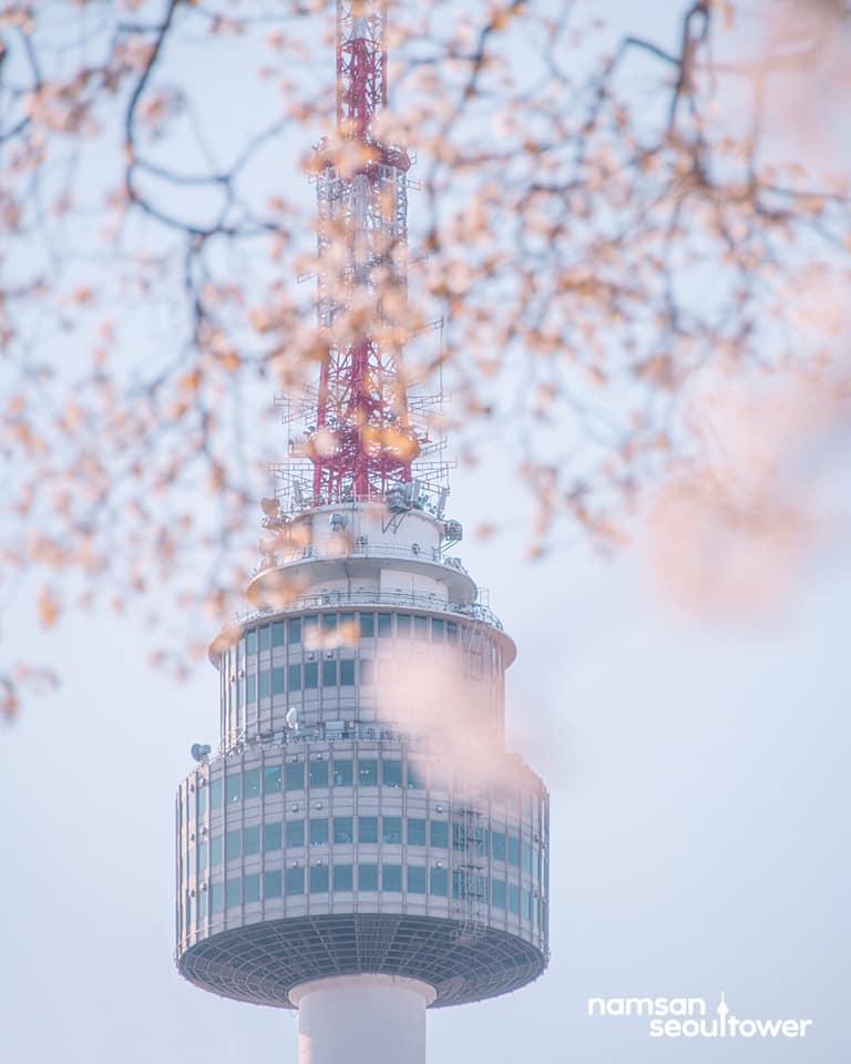南山公園 (圖片來源:Facebook @남산서울타워)