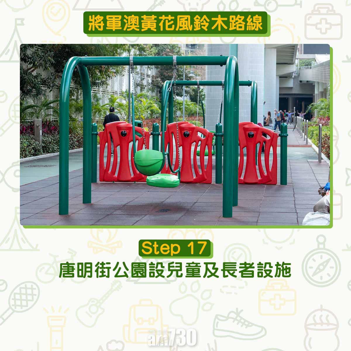 黃花風鈴木︱將軍澳唐明街公園