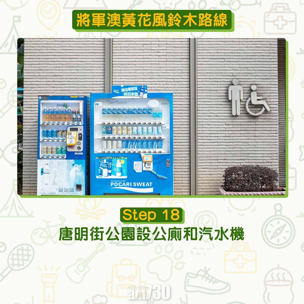 黃花風鈴木︱將軍澳唐明街公園