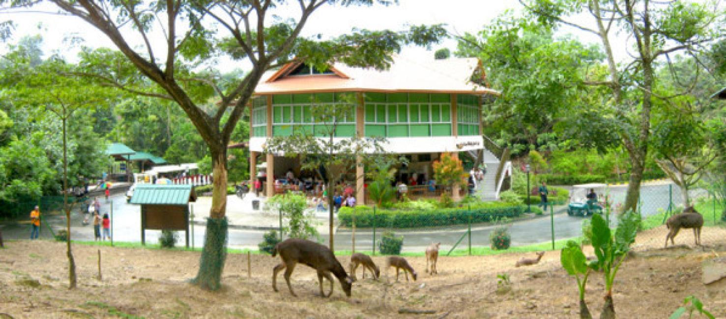 亞庇洛高宜野生動物園