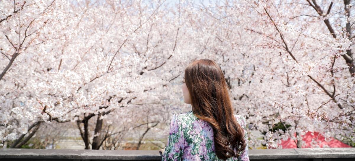 釜山三樂生態公園