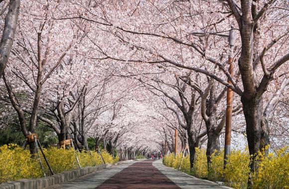 釜山三樂生態公園