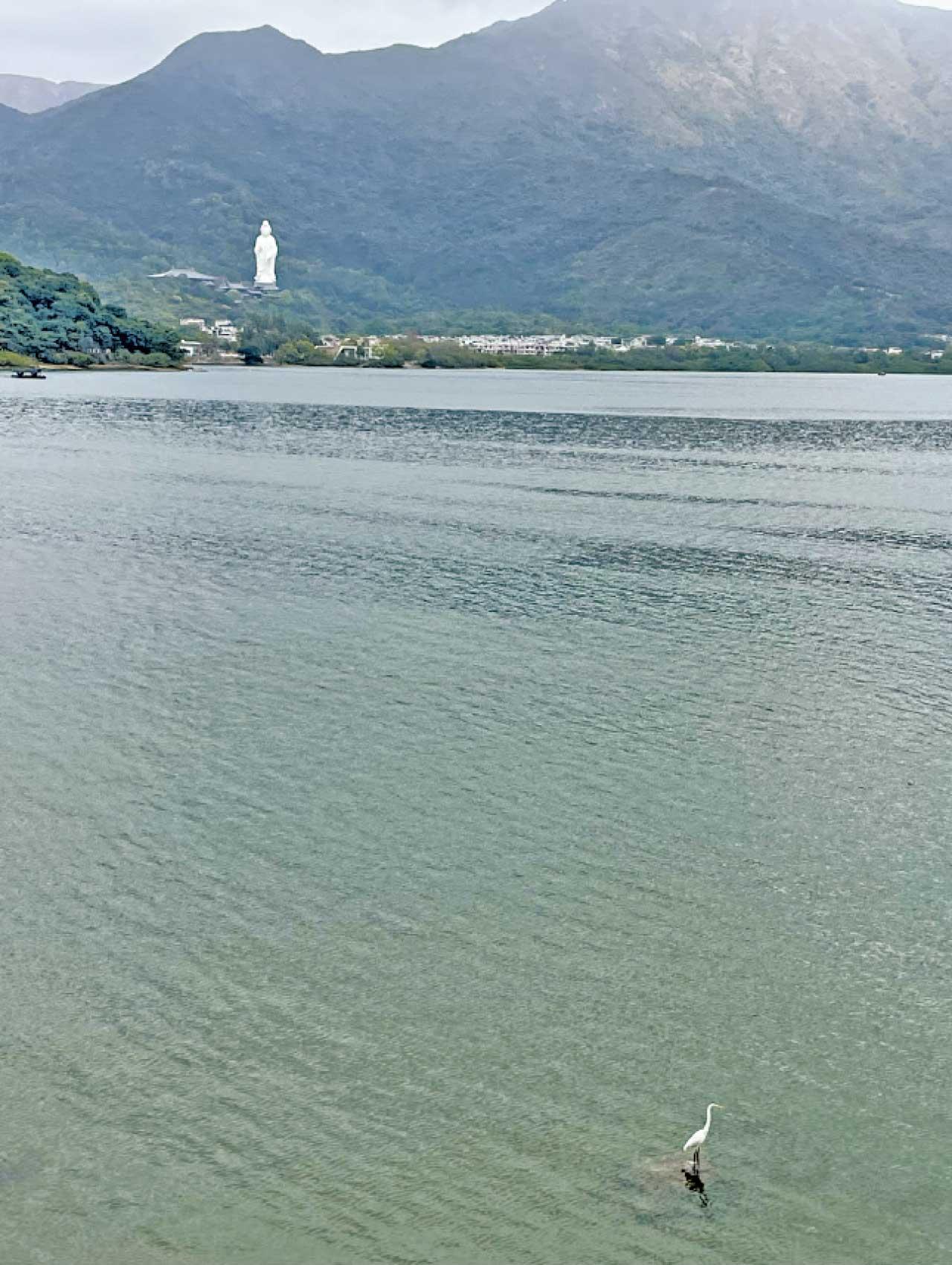 我們的跑步習作