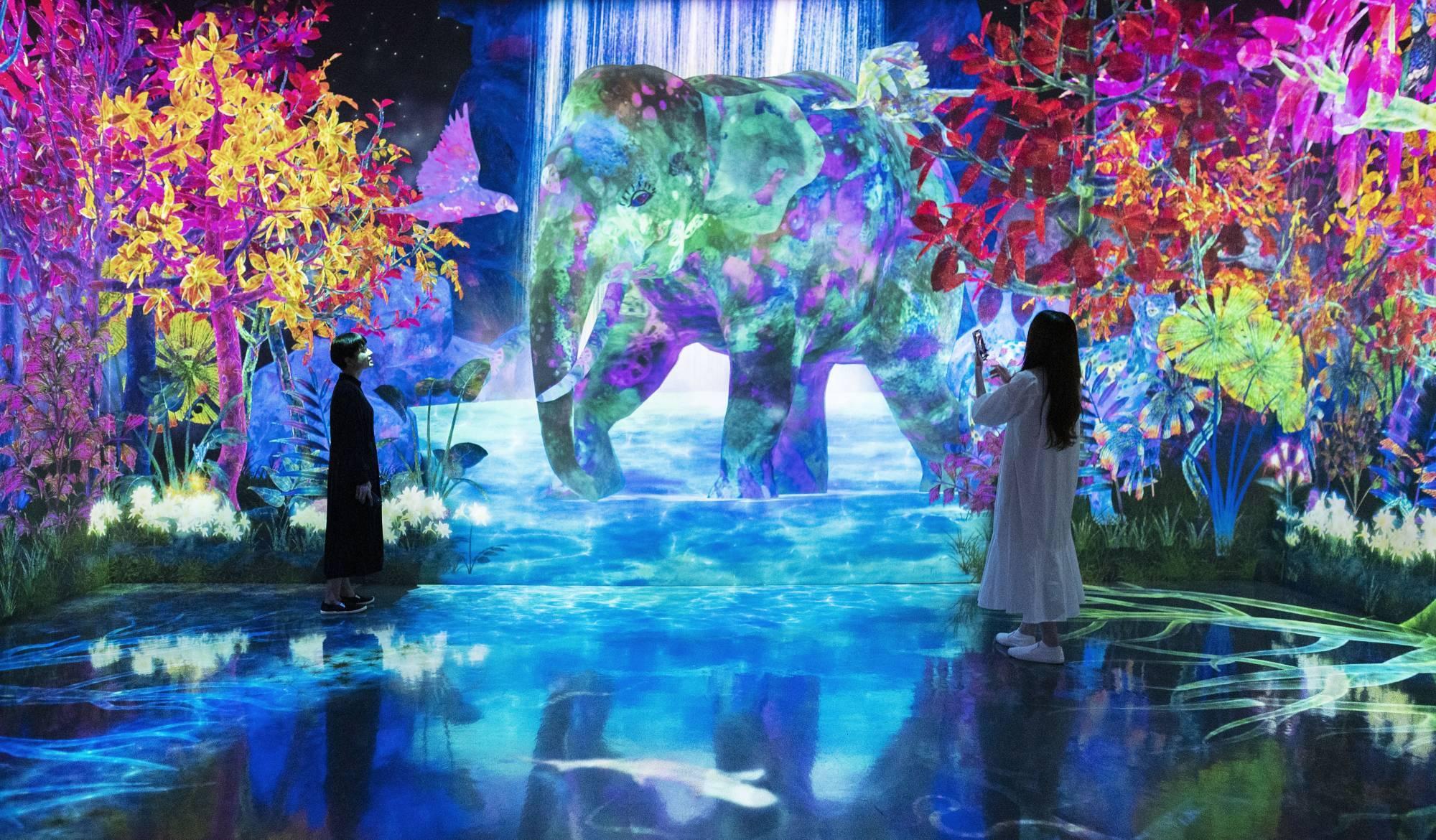 參觀者置身幻彩動物世界,用手機捕捉各類動物,並製作專屬動物圖鑑。