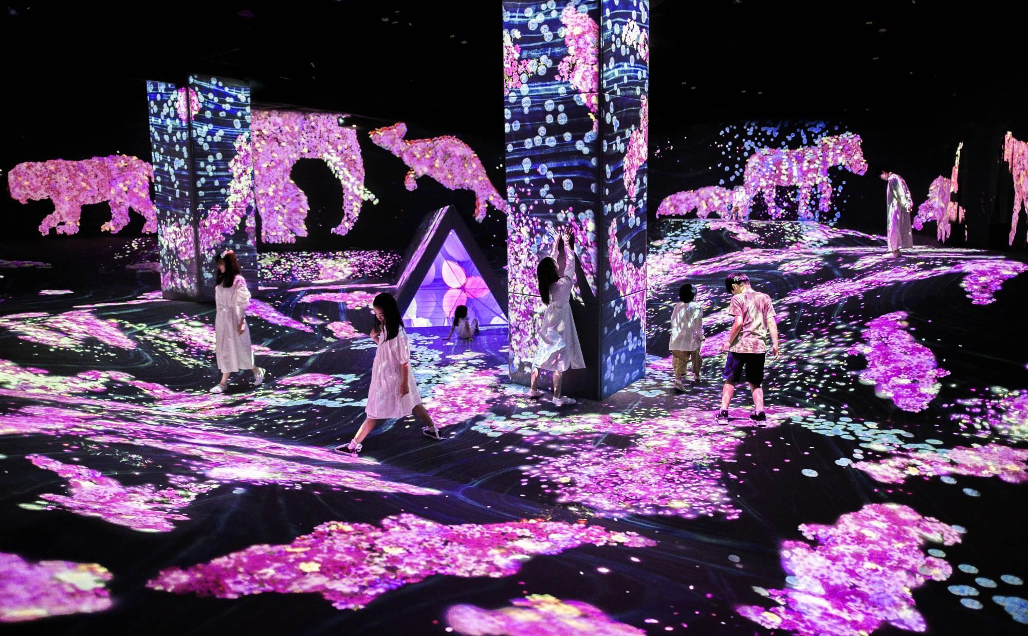 福岡的「teamLab Forest Fukuoka」舉行以櫻花為主題的春季限定展。