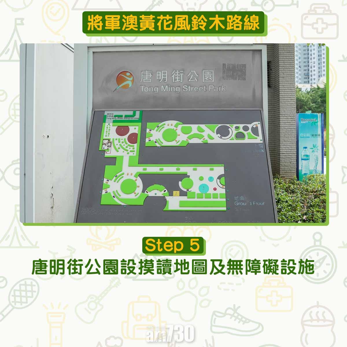 黃花風鈴木︱將軍澳唐明街公園