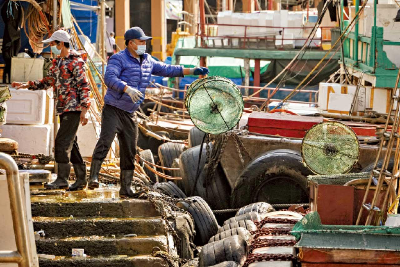 香港仔魚類批發市場