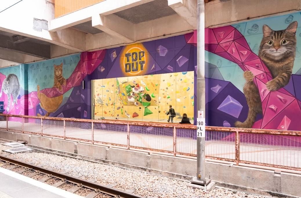 3巨貓壁畫駐守屯門山景商場