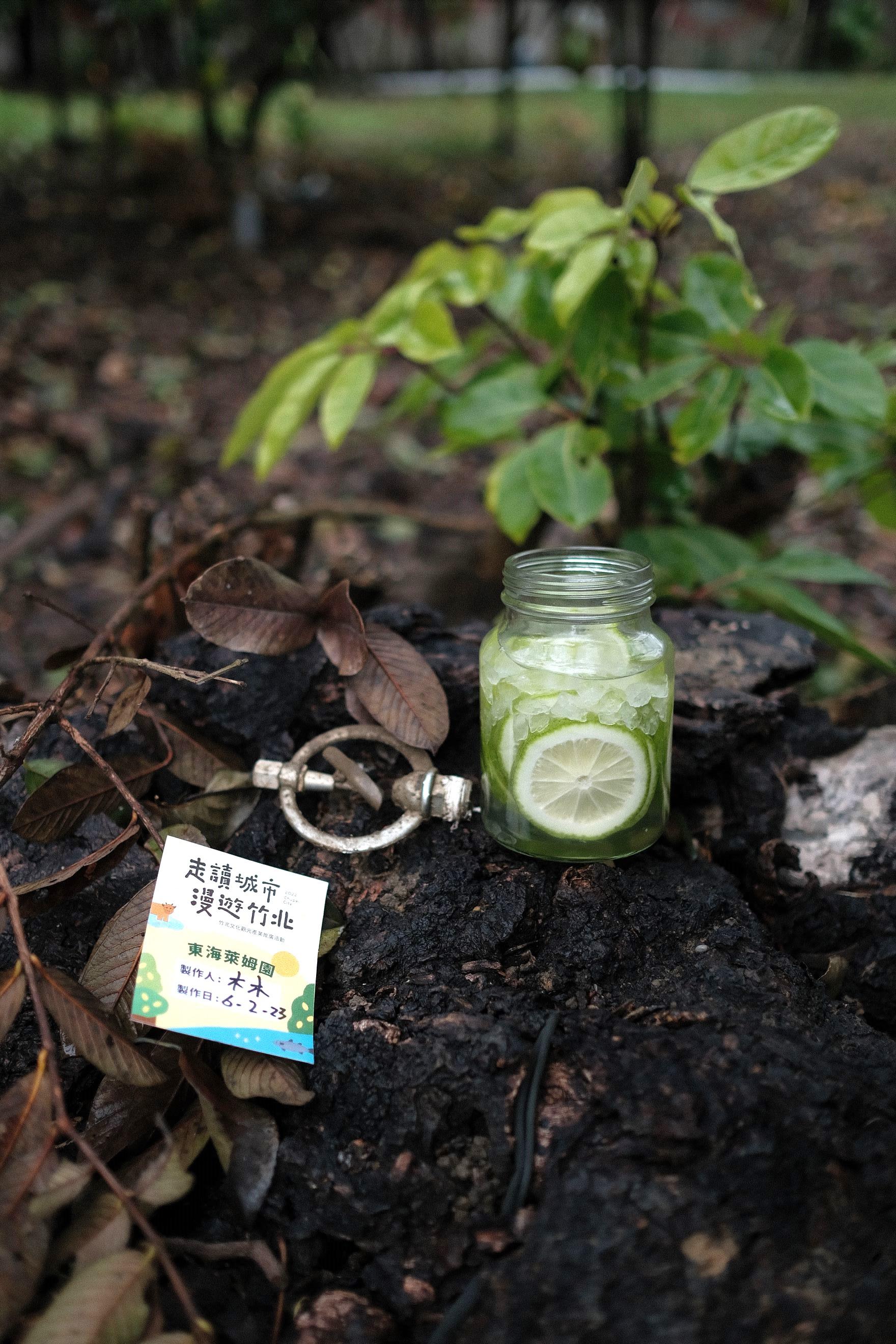 東海萊姆園 摘青檸釀醋