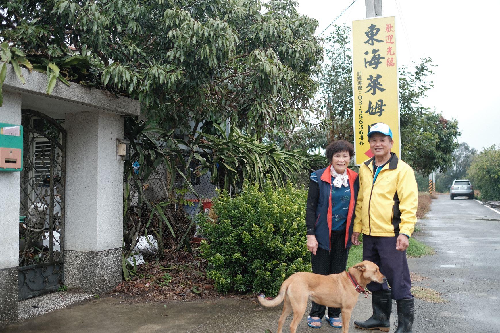 東海萊姆園 摘青檸釀醋